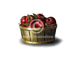 organic apples stock